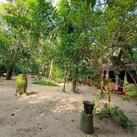 Abba Marari Beach Villas & Homestay Mararikulam Alappuzha Buitenkant foto