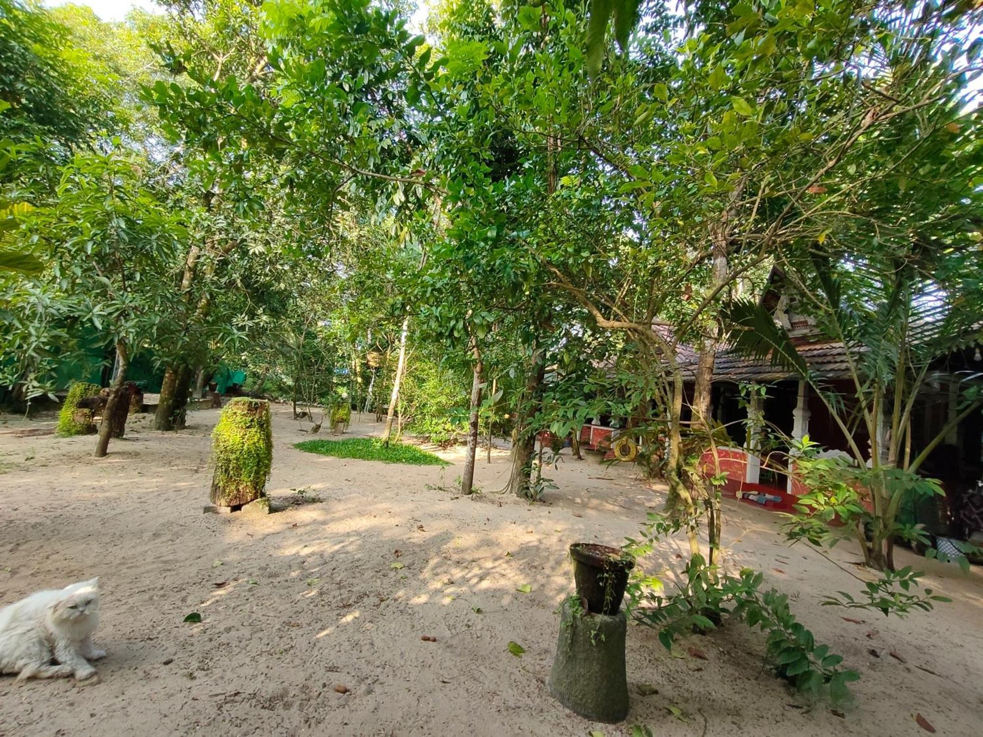 Abba Marari Beach Villas & Homestay Mararikulam Alappuzha Buitenkant foto